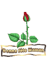 Gif bonne fête  maman rose rouge